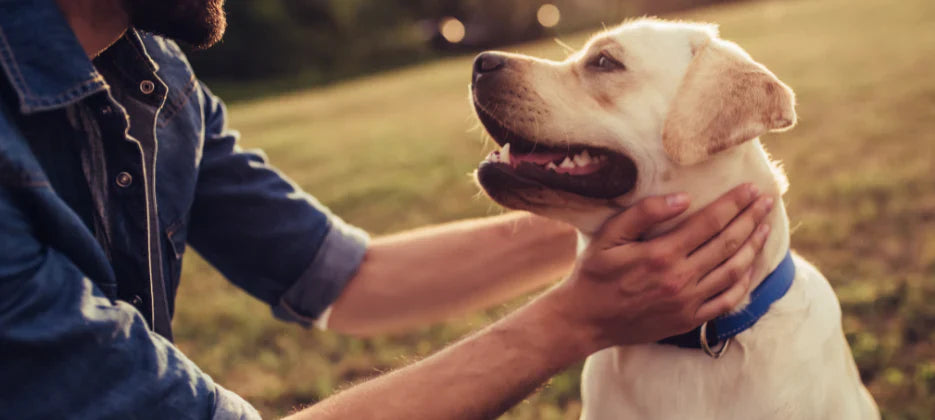 LOUIE extra tip: Staň sa akcionárom a získaj 50% zľavu