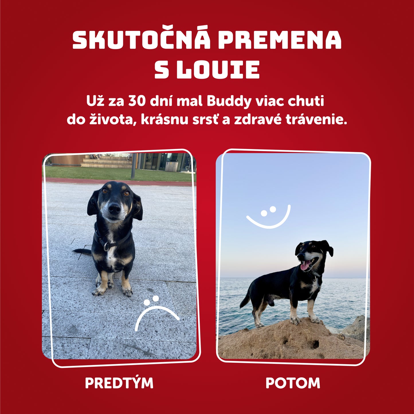 Bravčové so špenátom a prebiotikami 400 g