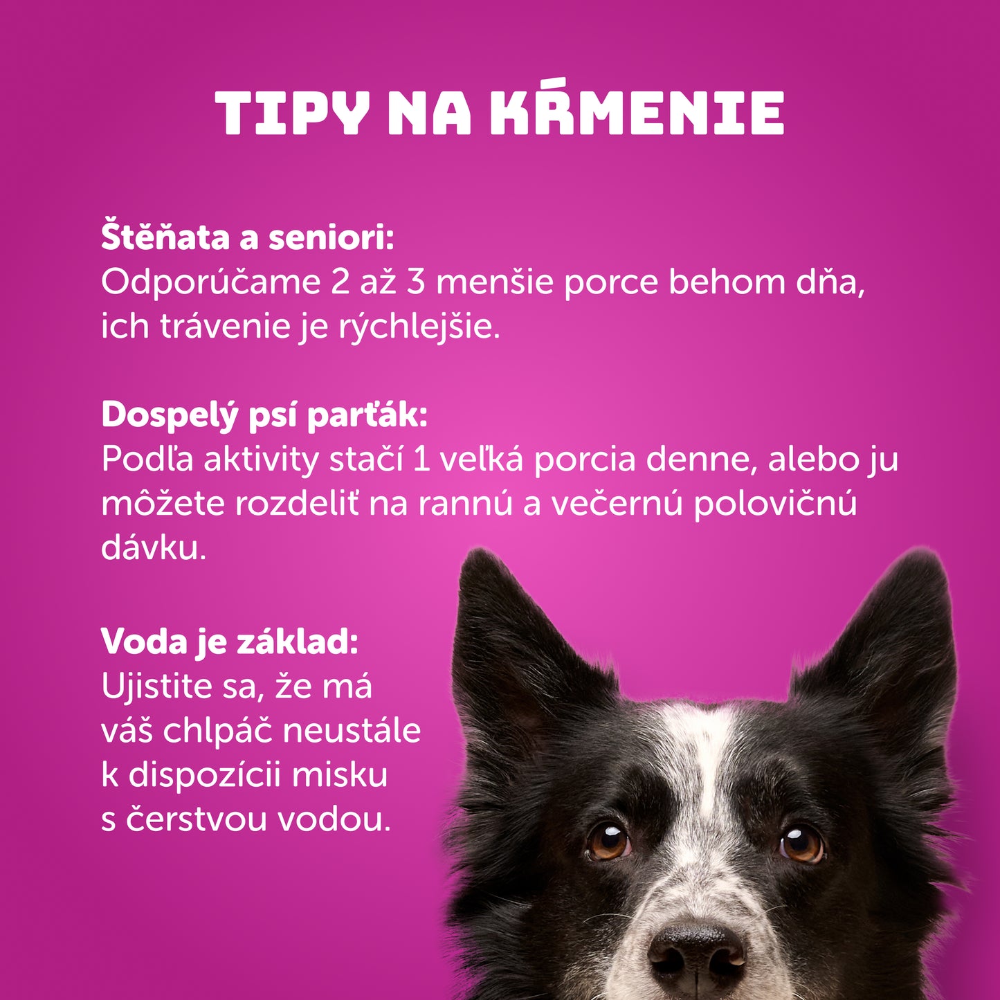 Ochutnávkový balíček 40ks - 400g