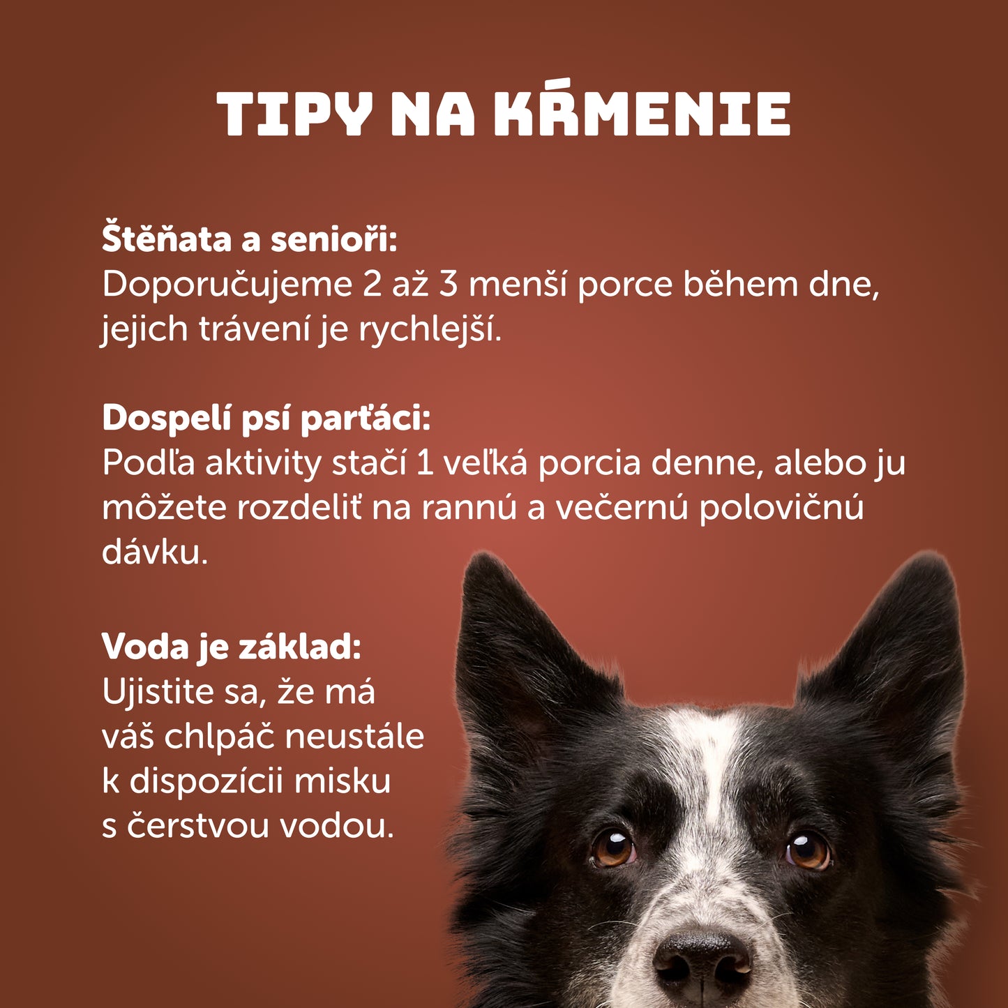 Hovädzie s dyňou, cuketou a prebiotikami 400g