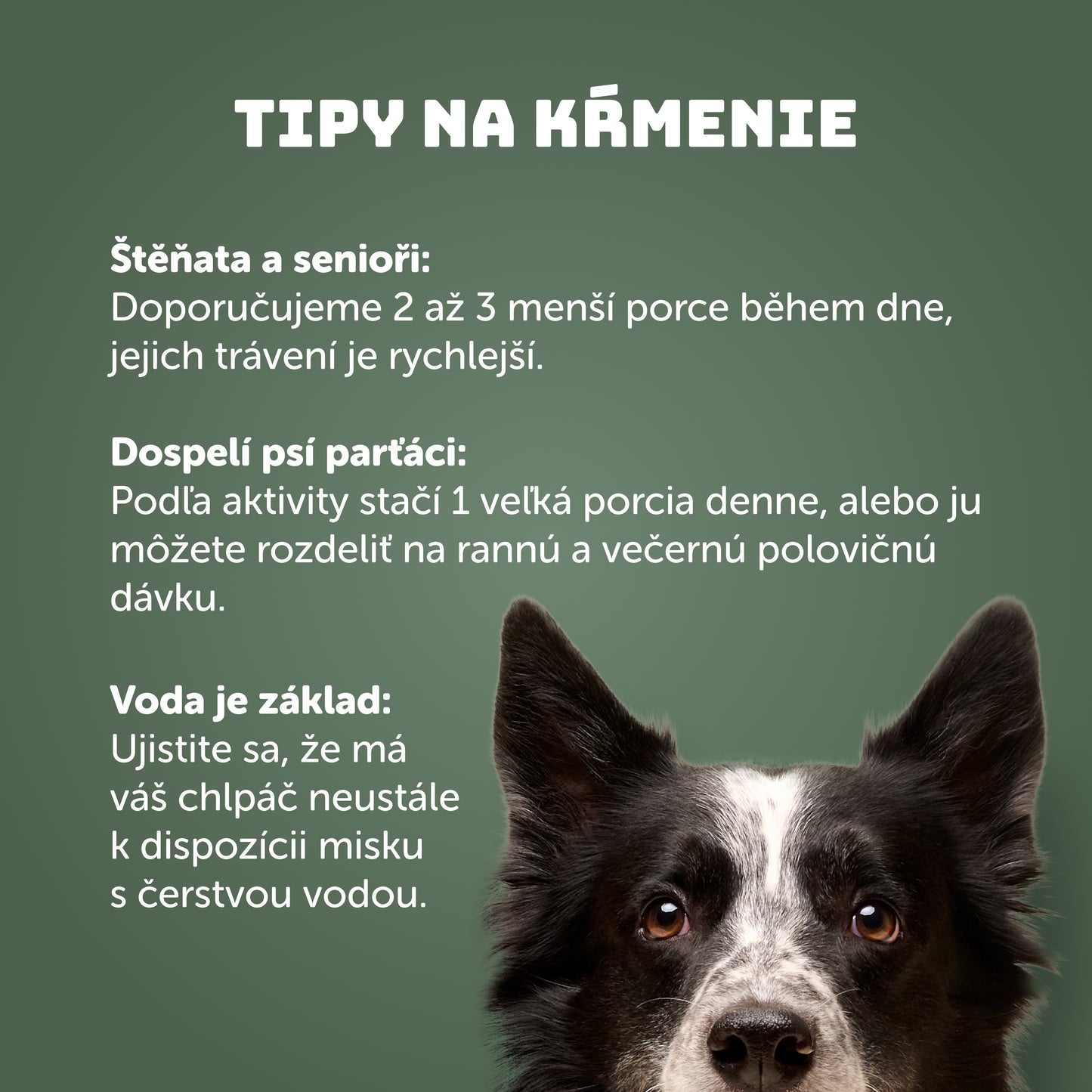 Výhodné balenie 8ks - Zverina s brusnicami a prebiotikami 400g