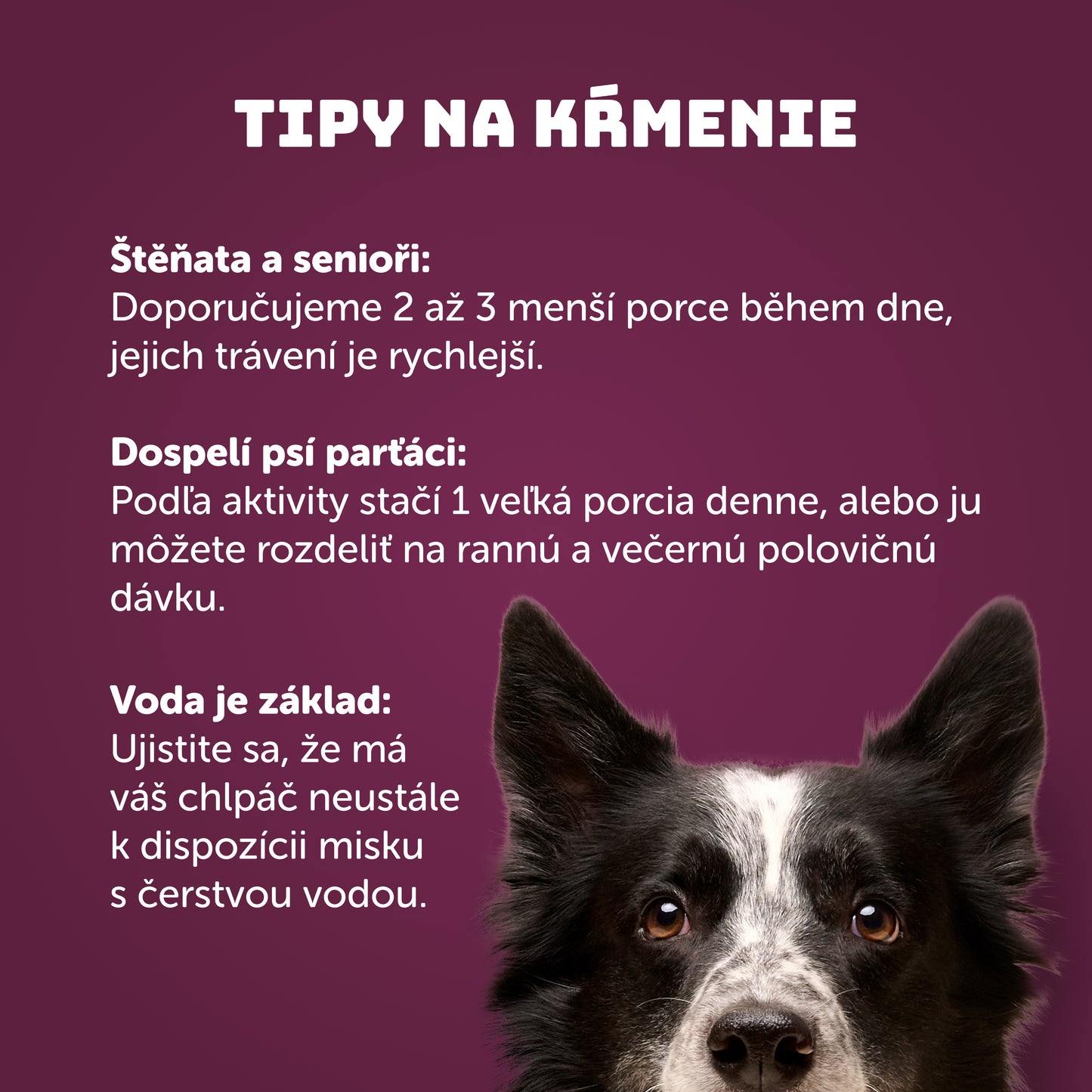 Výhodné balenie 8 ks - Husa s plnkou