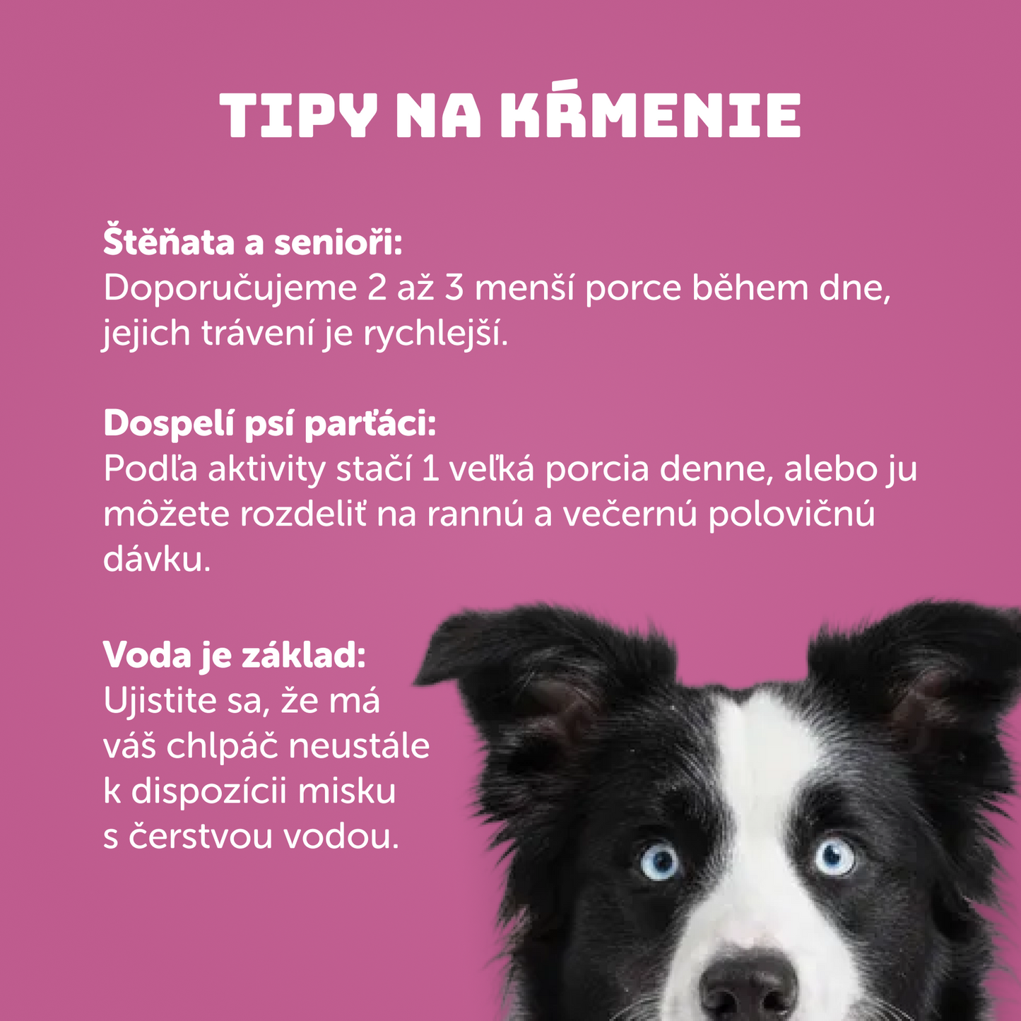 Teľacie so šípkom, batátom a prebiotikami 400g