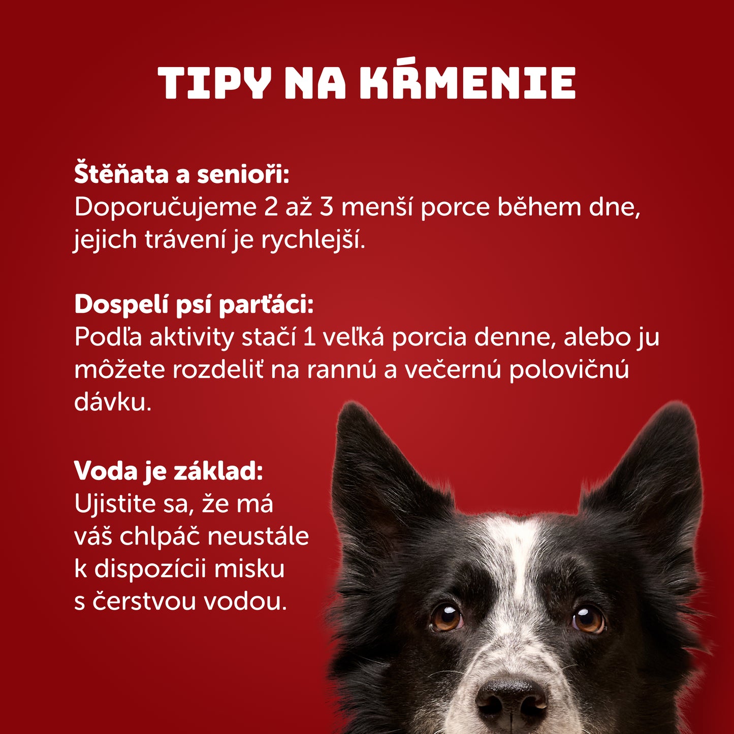 Jahňacie s morčacím a jablkom 400g