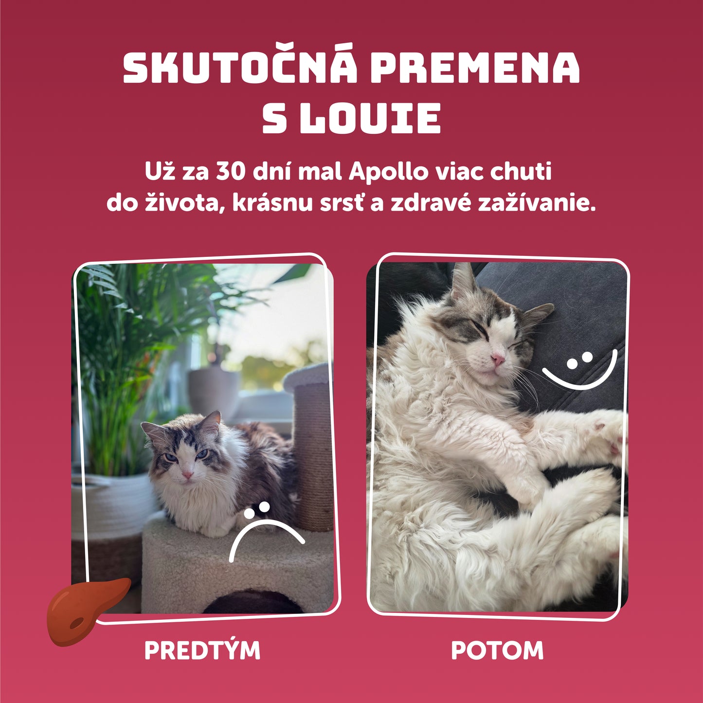 Výhodné balenie 8 ks - Pečeňová s prebiotikami 400g