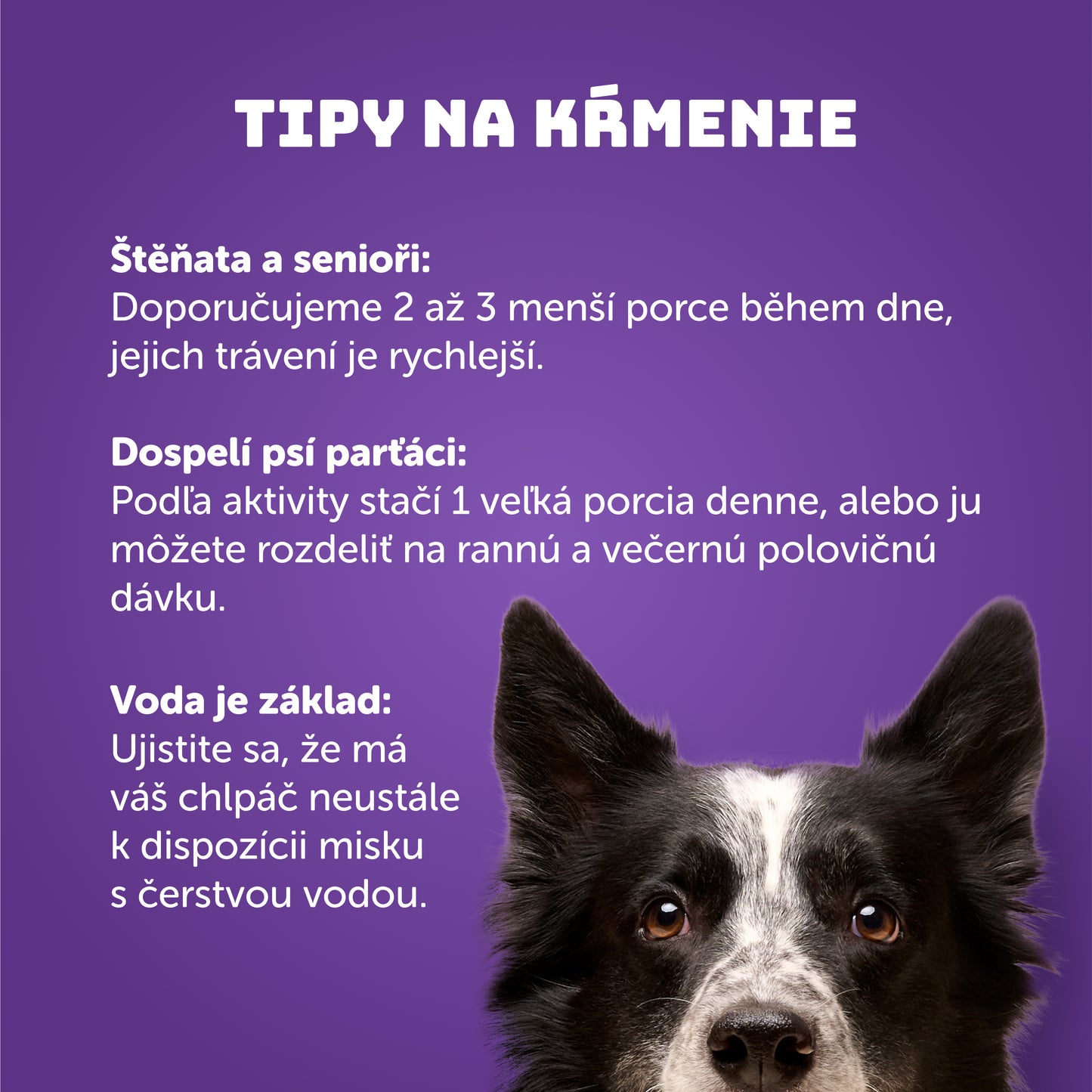 Králik s kuracím a prebiotikami 200g