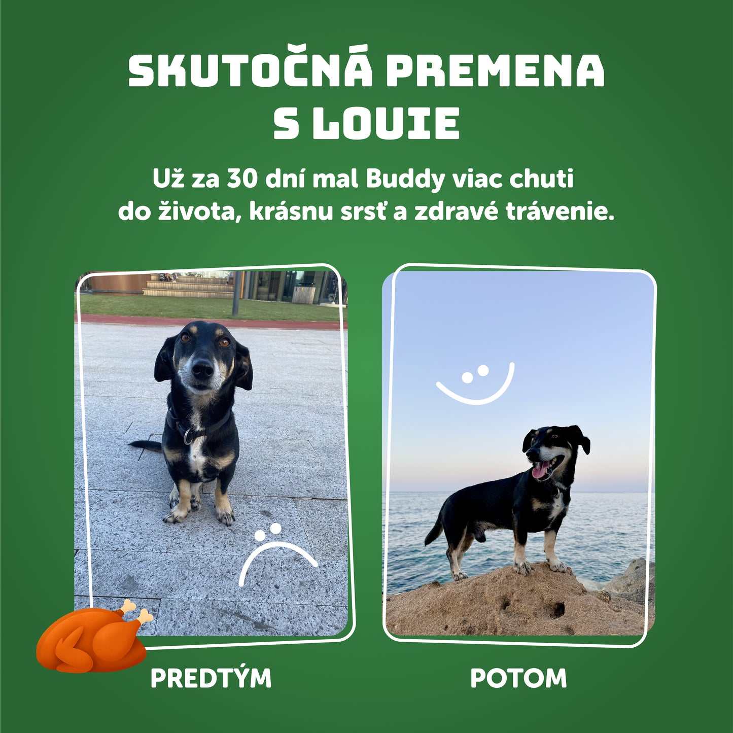 Morčacie s ryžou 1200g