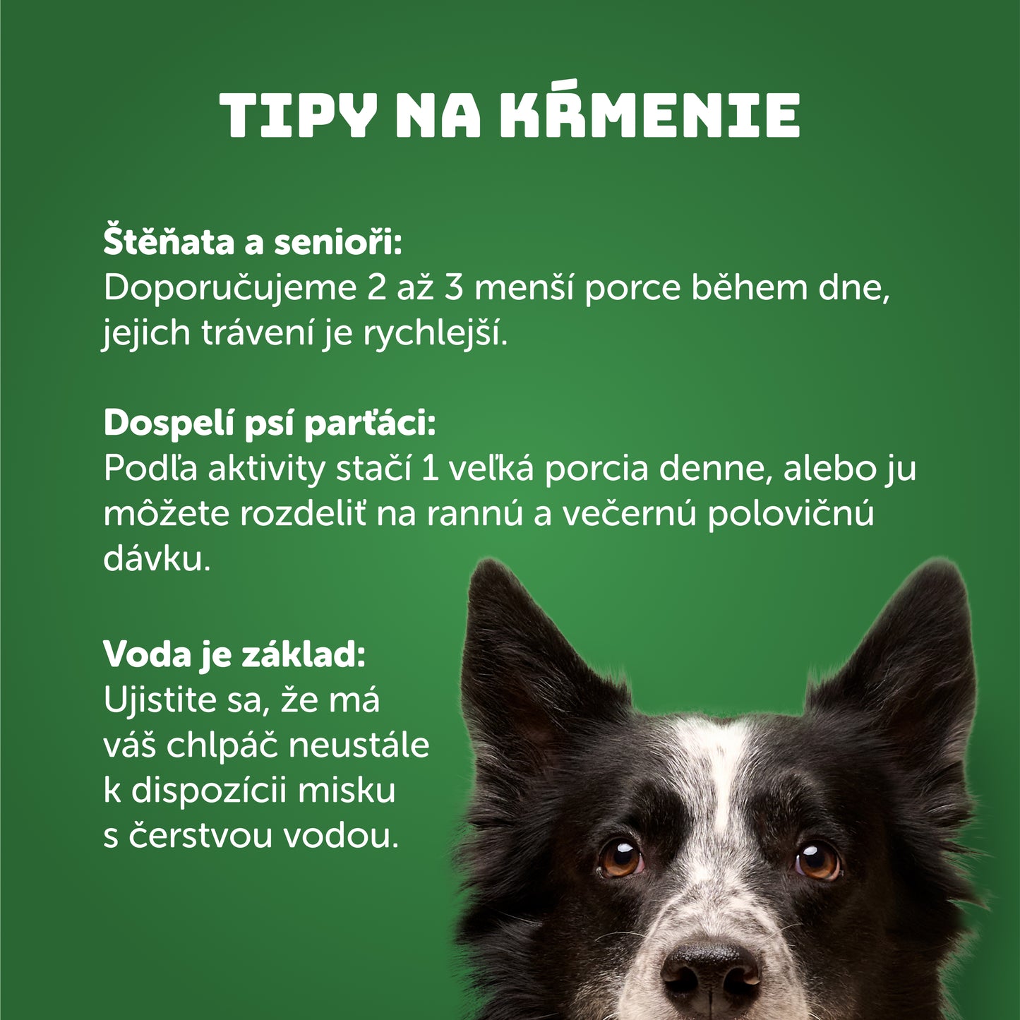 Morčacie s ryžou 1200g