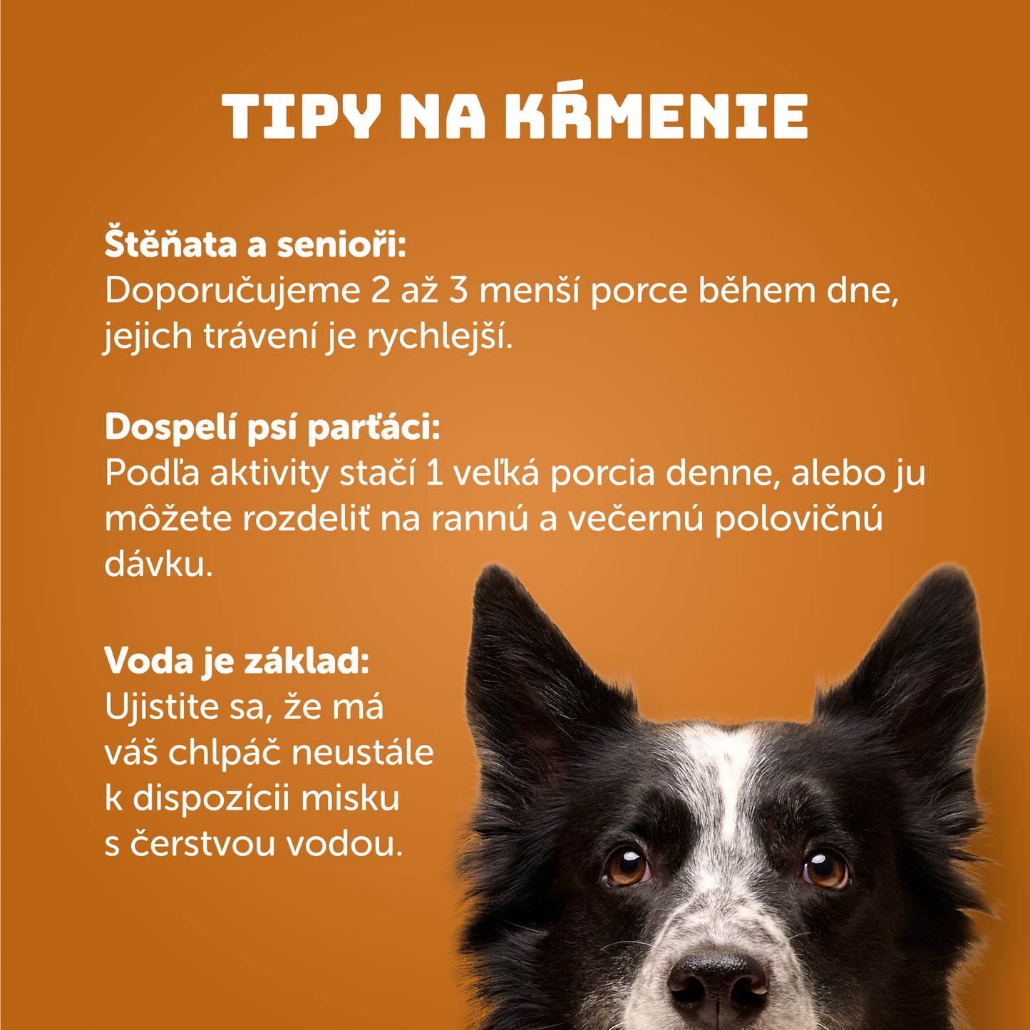 Balenie kapsičiek 12 ks - Kuracie s cuketou 300g