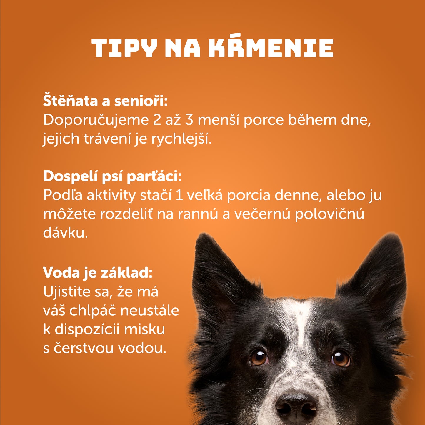 Pivné hovädzie s mrkvou a kvasnicami 400g