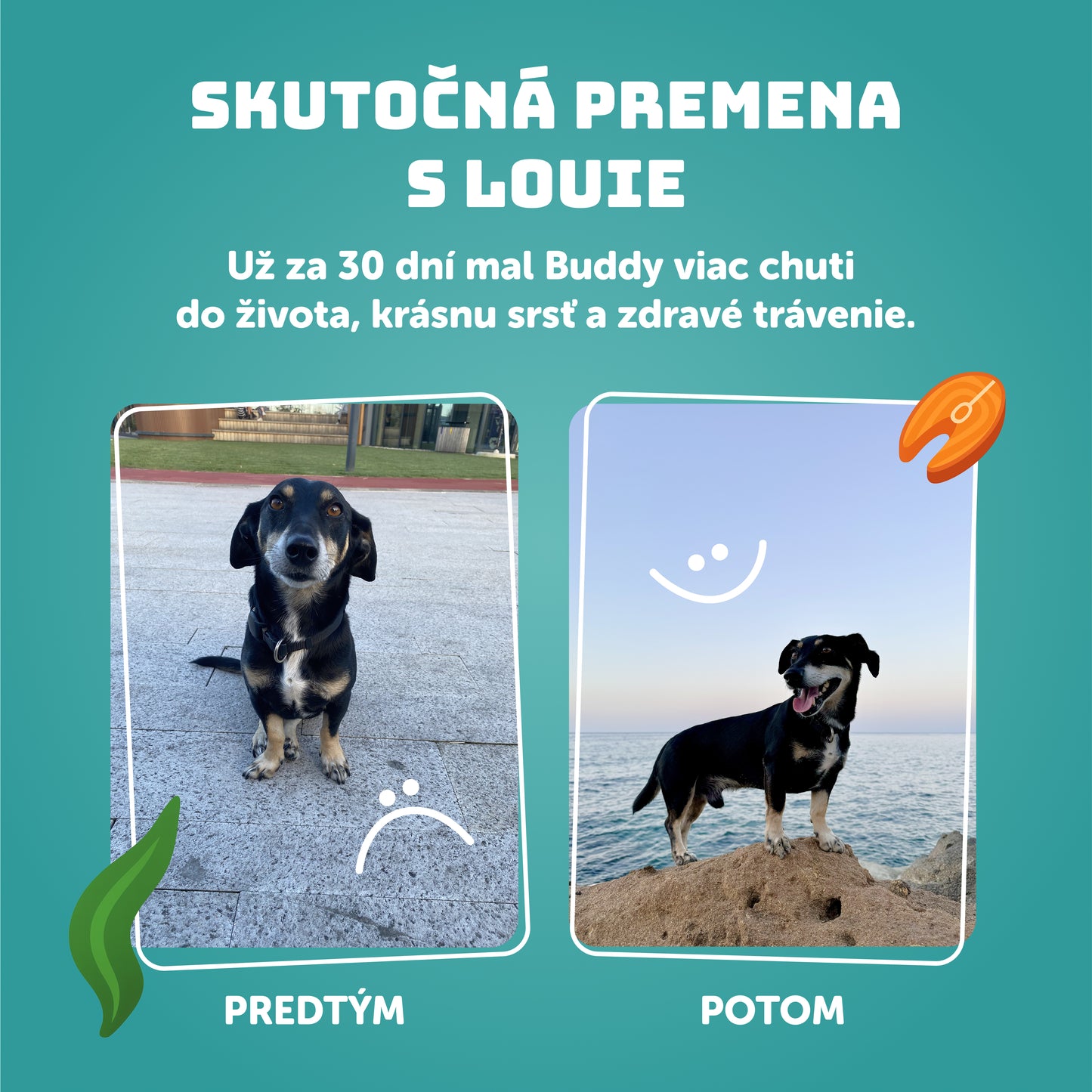 Rybacia kapsička s riasami 300g