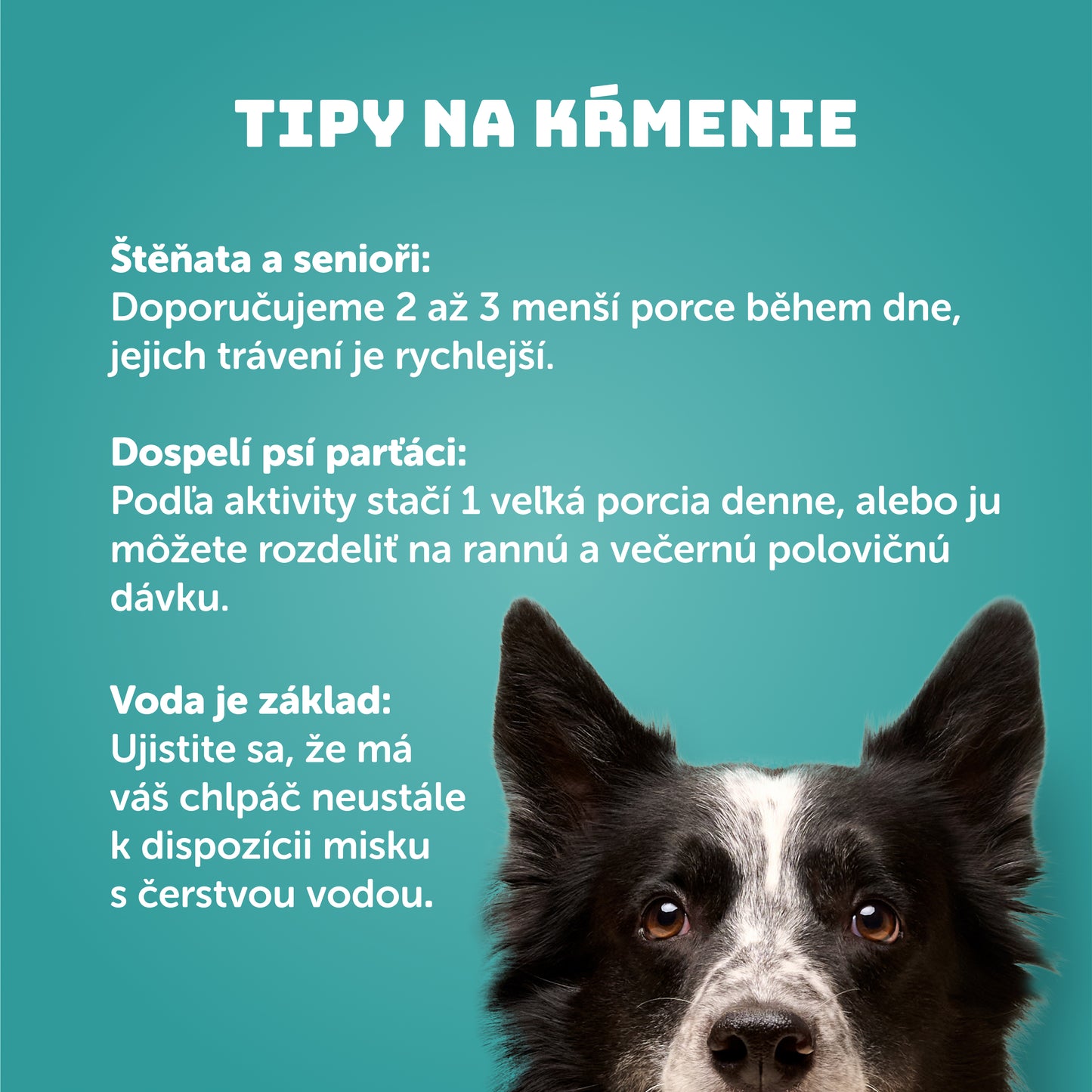 Rybacia kapsička s riasami 300g