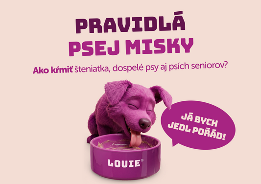 Koľkokrát denne kŕmiť psa? Záleží na veku aj jeho potrebách