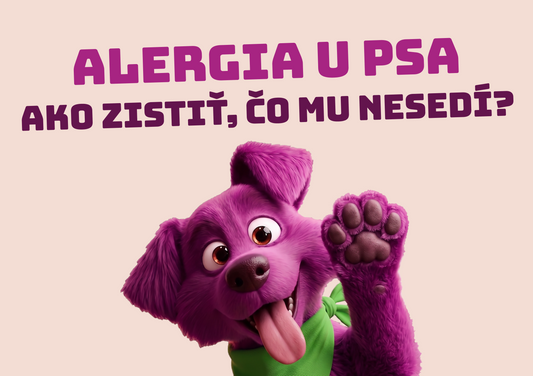 Potravinová alergia u psa? Ako zistiť, čo mu nesedí...