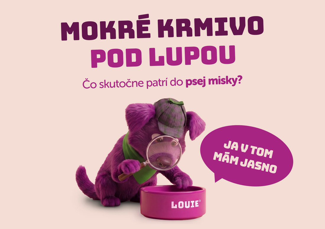 Mokré krmivo pod lupou. Čo skutočne patrí do psej misky?