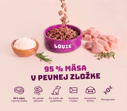 Kuracie s ryžou 400g