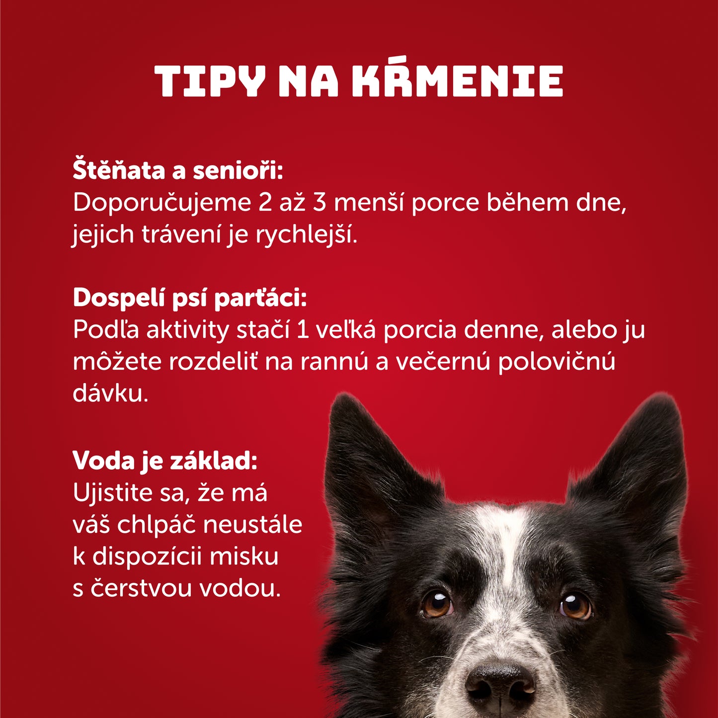 Bravčové so špenátom a prebiotikami 400 g