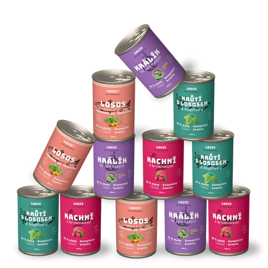 Balíček pre maškrtný jazýček - 12 ks