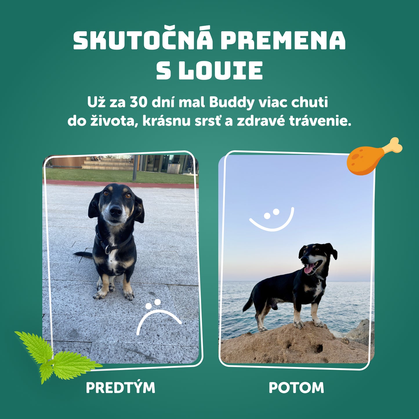 Výhodné balenie 6 ks - Morčacie s lososom a žihľavou 800g