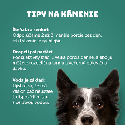 Výhodné balenie 6 ks - Morčacie s lososom a žihľavou 800g