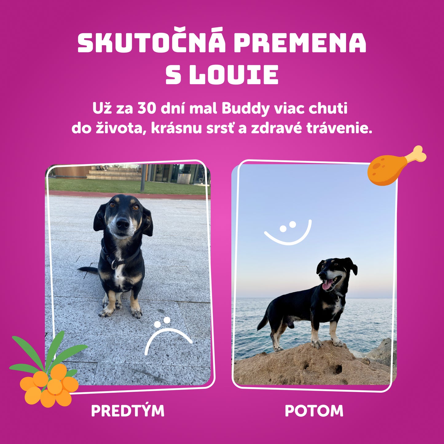 Ochutnávkový balíček 200g - 20ks