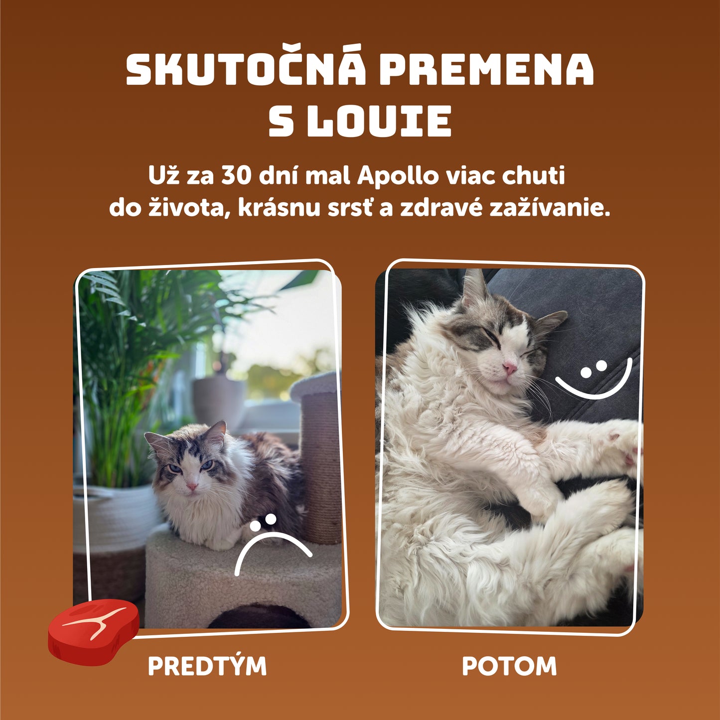 Hovädzie s prebiotikami 200 g