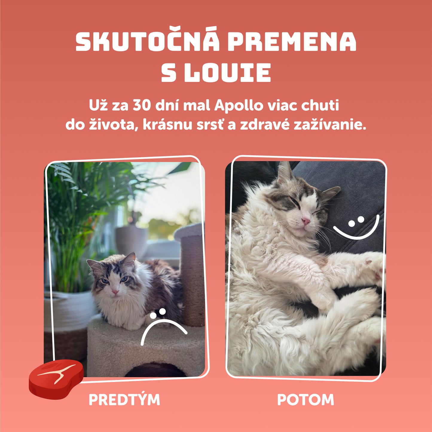 Mačací ochutnávkový balíček 400g - 14ks