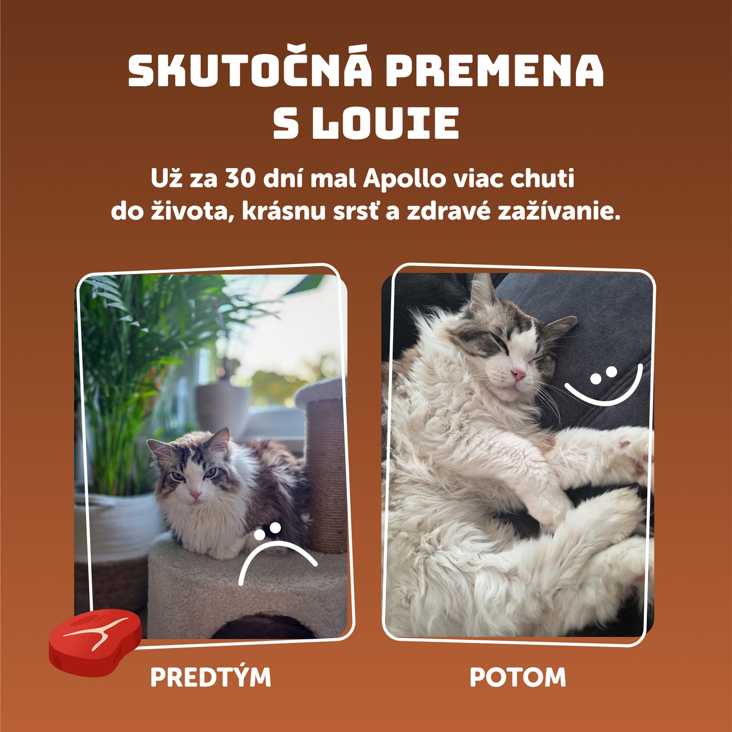 Mačací ochutnávkový balíček 200g - 16ks