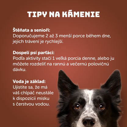 Hovädzie s dyňou, cuketou a prebiotikami 400g