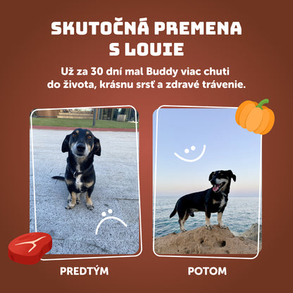 Hovädzie s dyňou, cuketou a prebiotikami 400g