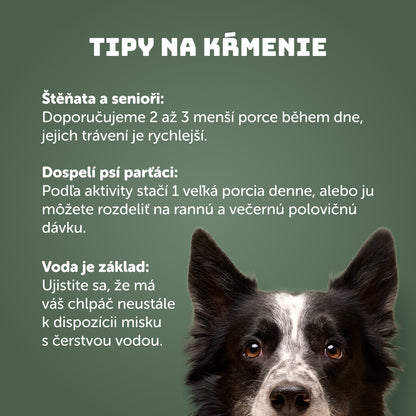 Výhodné balenie 8ks - Zverina s brusnicami a prebiotikami 400g