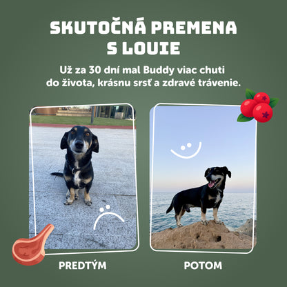 Výhodné balenie 8ks - Zverina s brusnicami a prebiotikami 400g