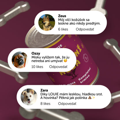 Sviatočná hus 400 g