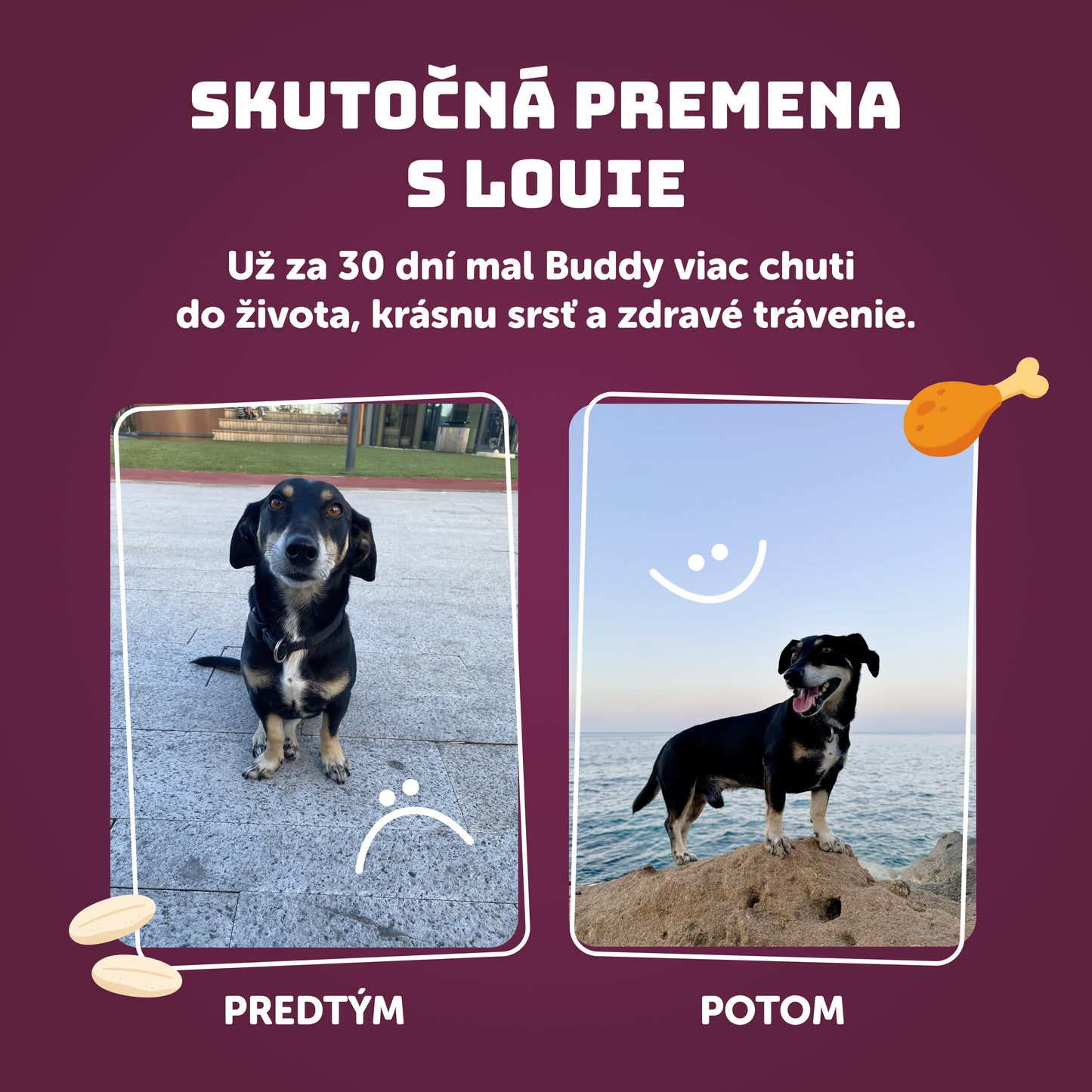 Sviatočná hus 400 g