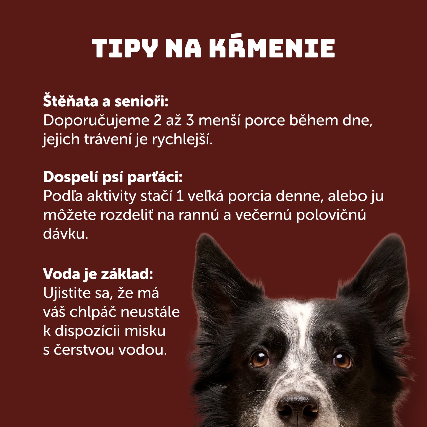 Výhodné balenie 8 ks - Vianočný kapor s ryžou 400g