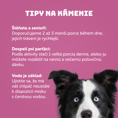 Teľacie so šípkom, batátom a prebiotikami 400g