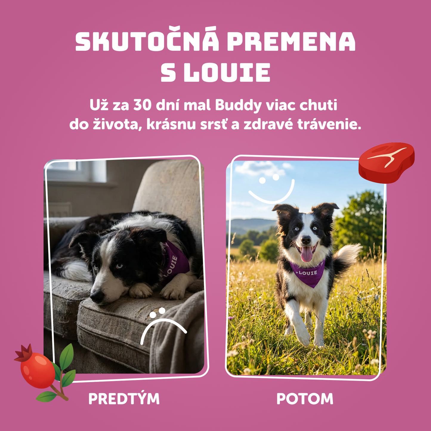 Teľacie so šípkom, batátom a prebiotikami 400g