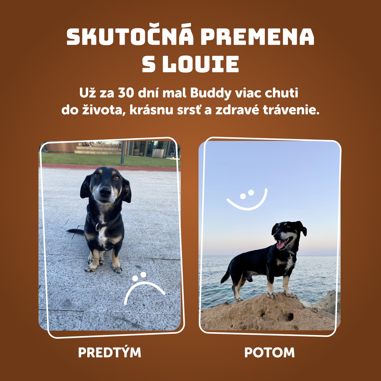 Výhodné balenie 16 ks - Hovädzie s mrkvou 400g