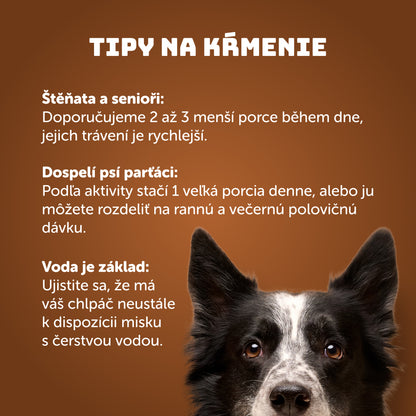 Výhodné balenie 16 ks - Hovädzie s mrkvou 400g