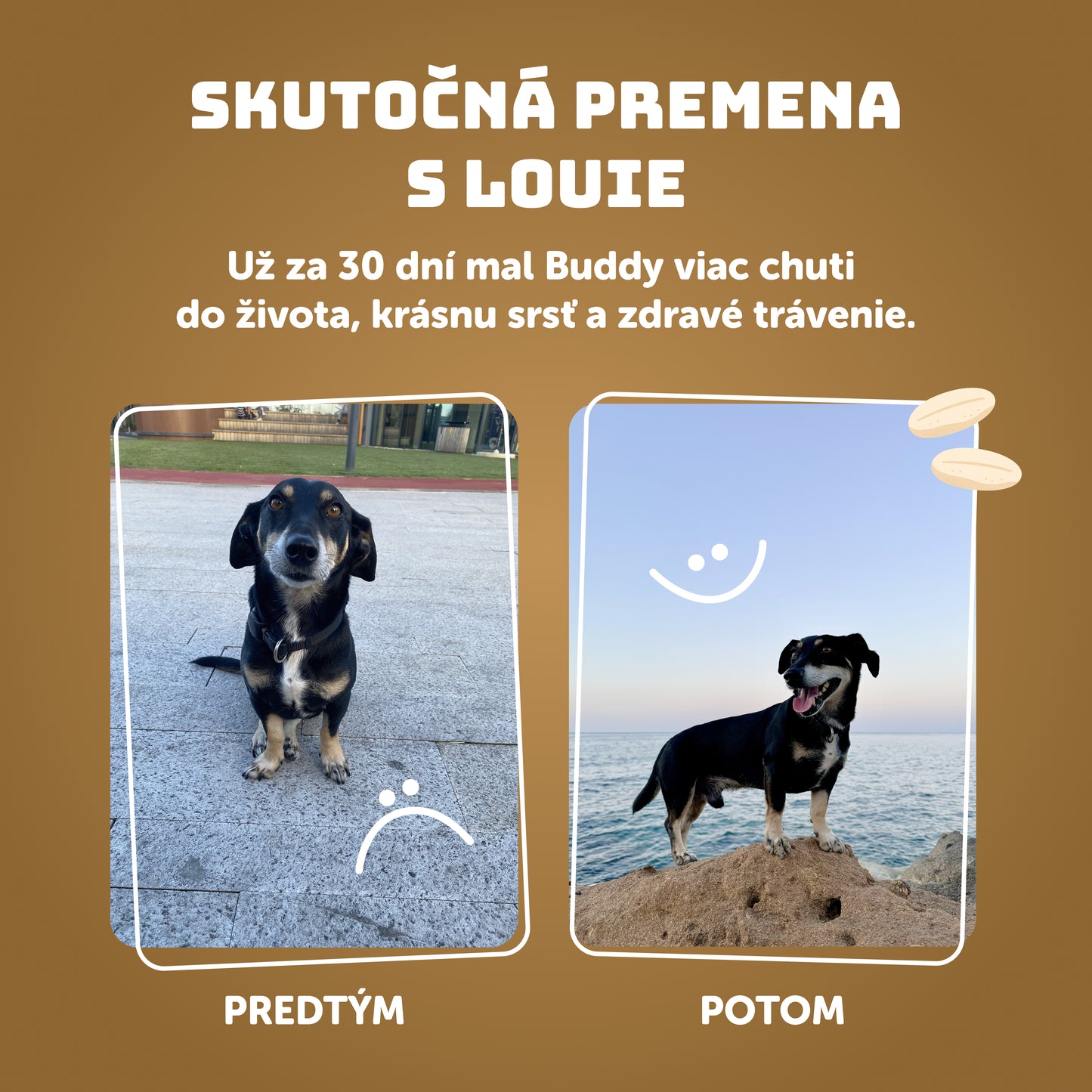 Výhodné balenie 6 ks - Hovädzie s ryžou 1200g