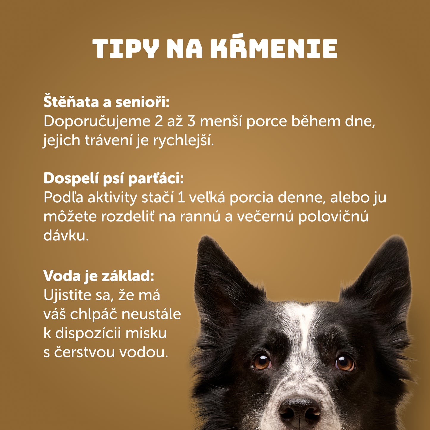 Výhodné balenie 6 ks - Hovädzie s ryžou 1200g