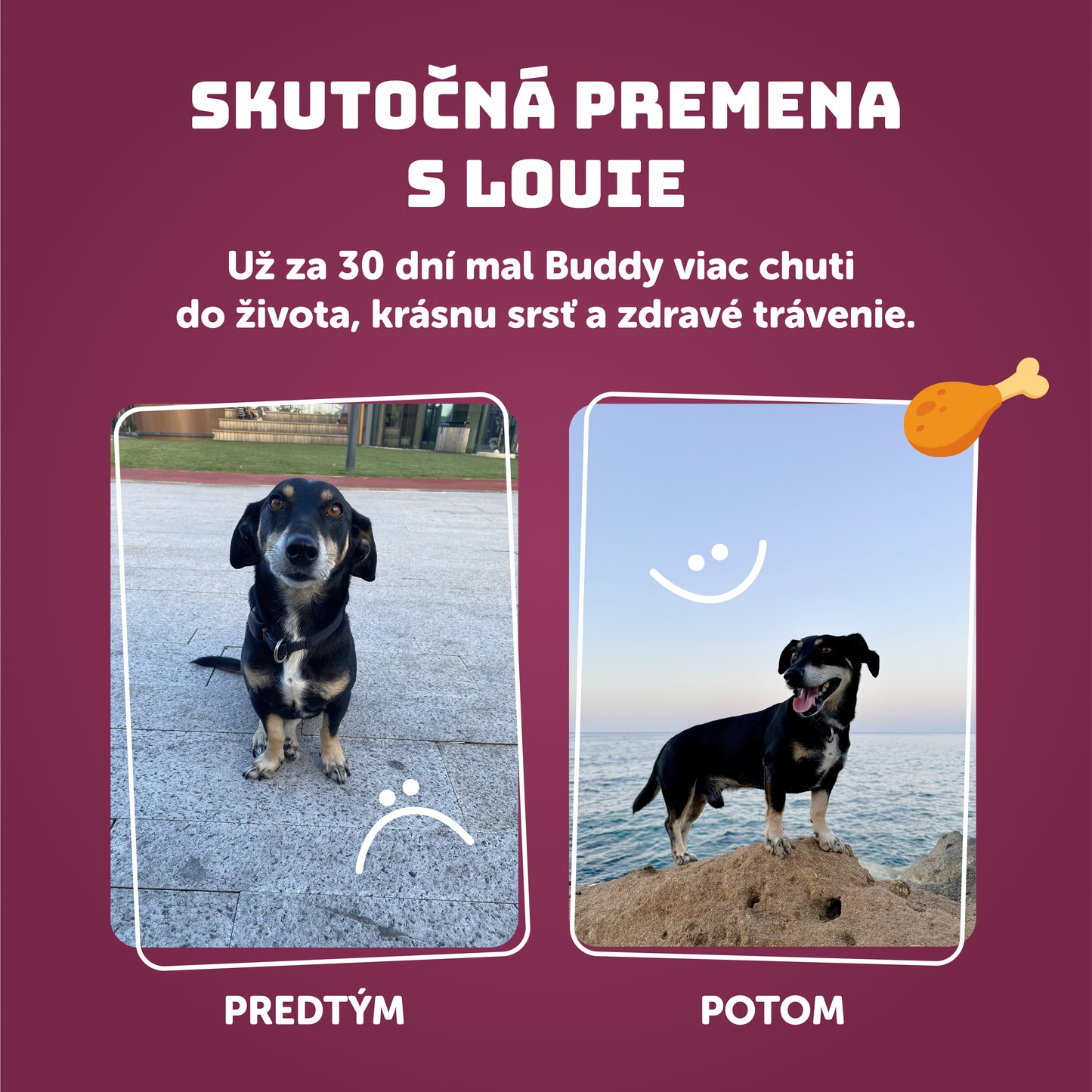 Kačací vývar 400 g