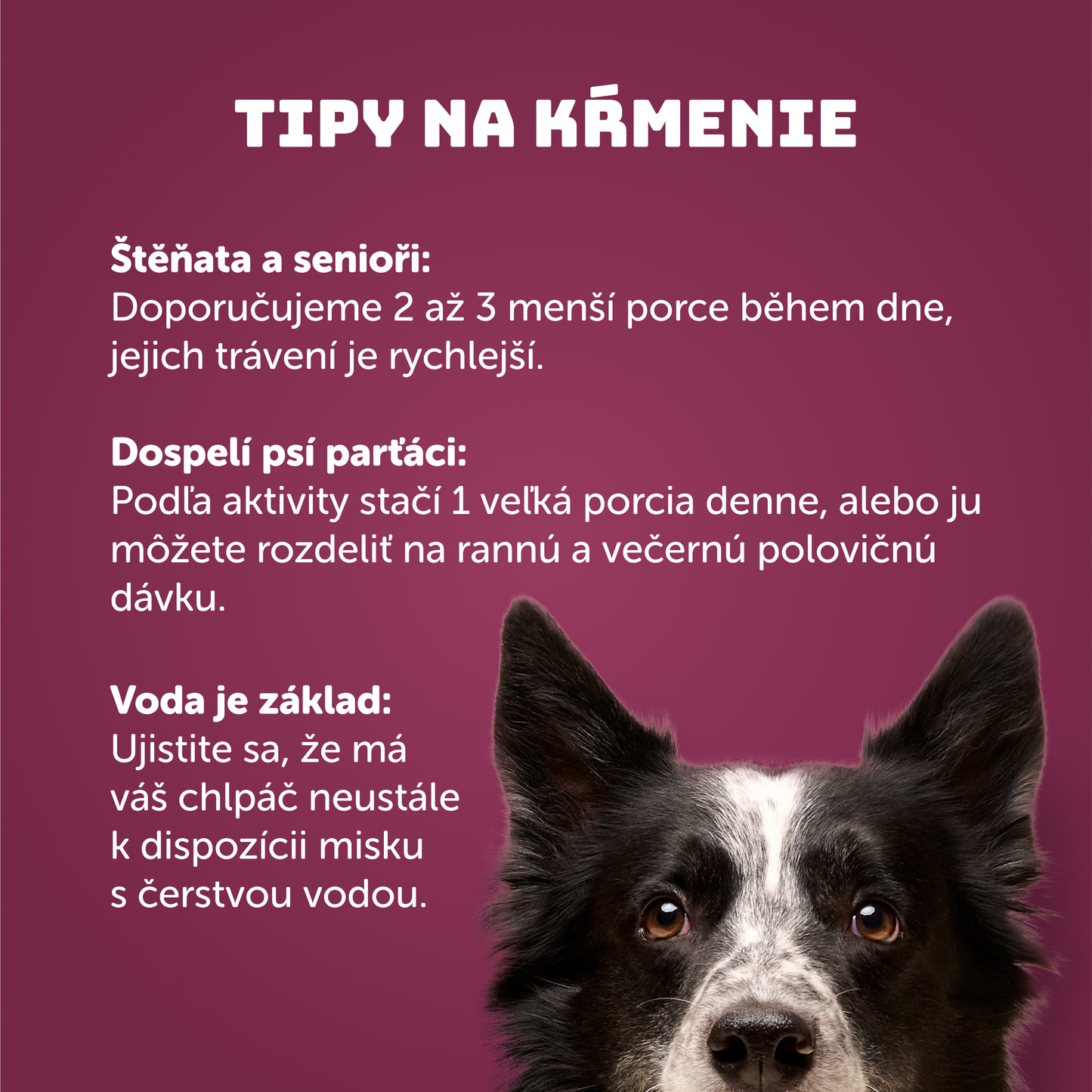 Kačací vývar 400 g