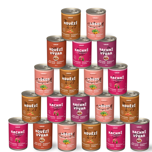 Balíček Imunita a Vitalita 20 ks - 400g