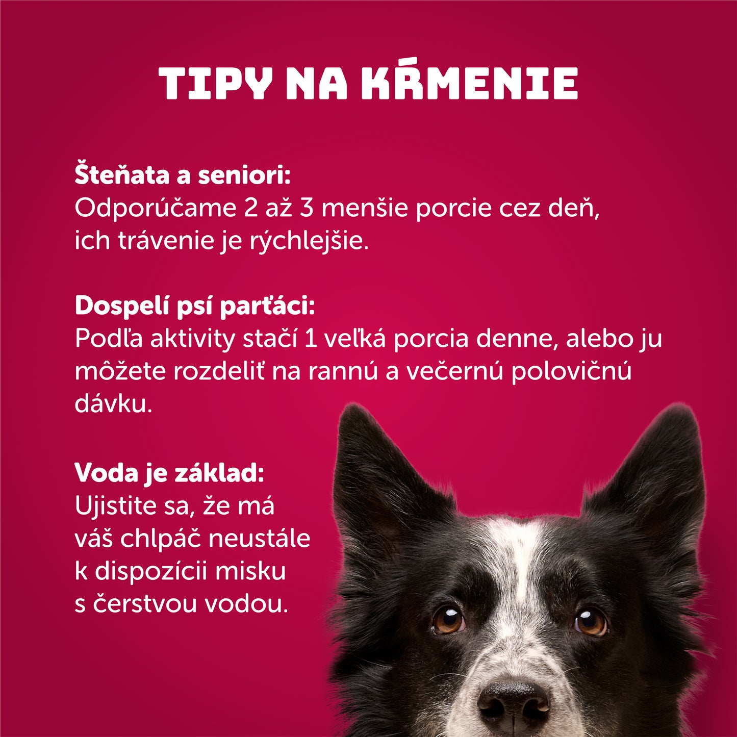 Výhodné balenie 6 ks - Kačacie s brusnicami 800g