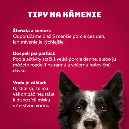 Výhodné balenie 6 ks - Kačacie s brusnicami 800g