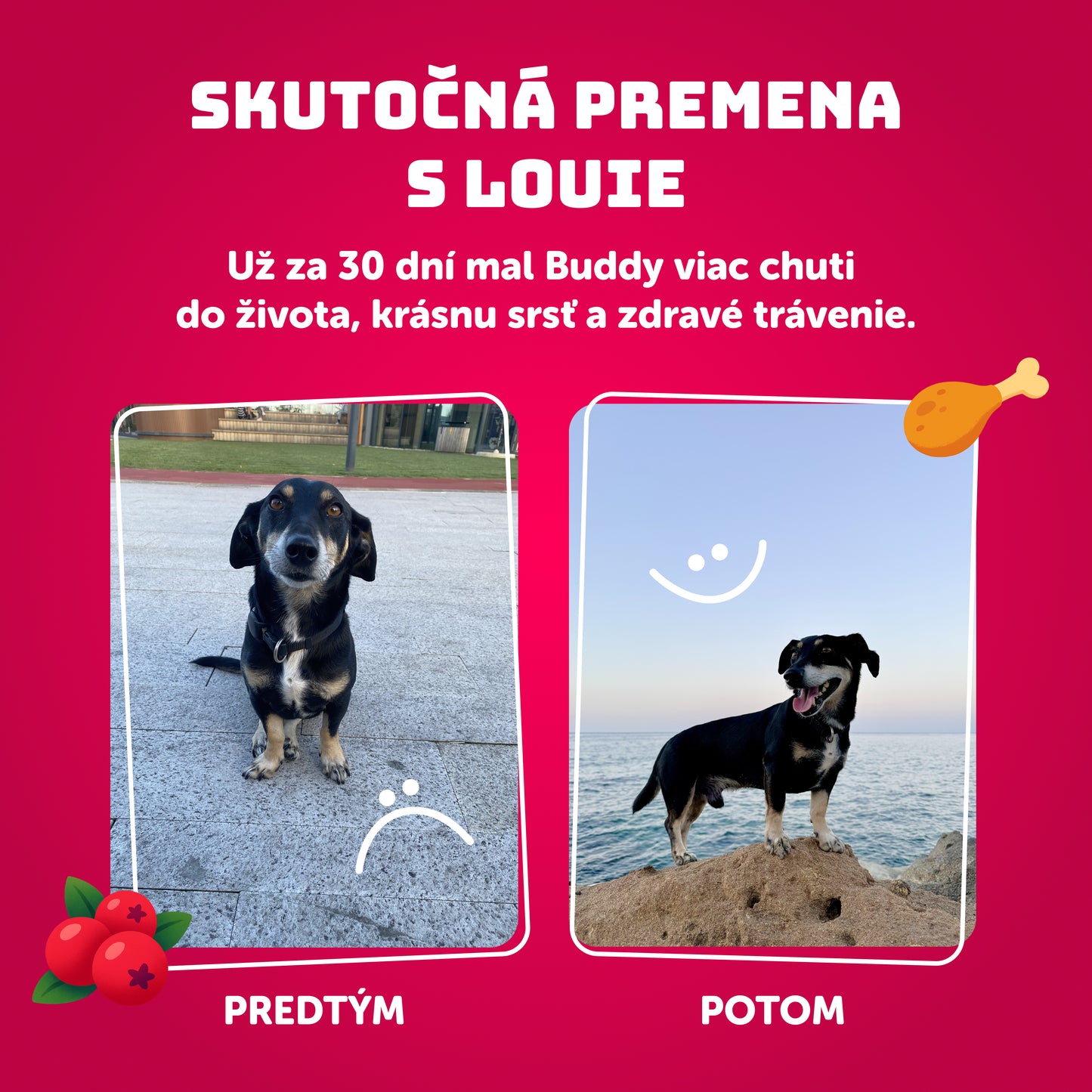 Výhodné balenie 6 ks - Kačacie s brusnicami 800g