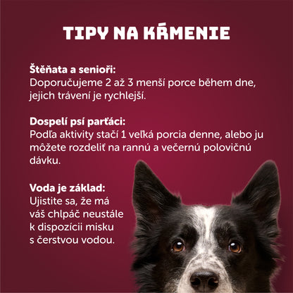 Kačacie so spirulinou a prebiotikami 400 g