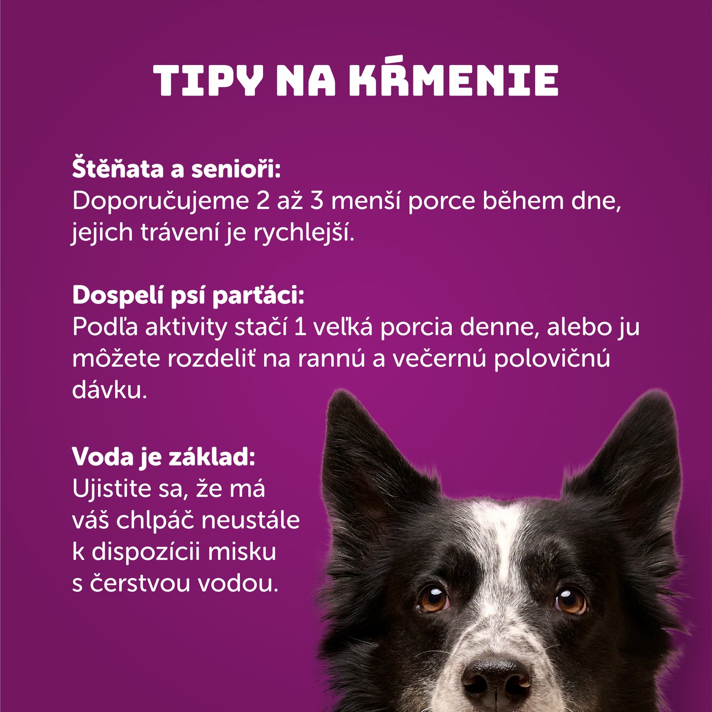 Výhodné balenie 8 ks - Kačacie s ryžou 200g