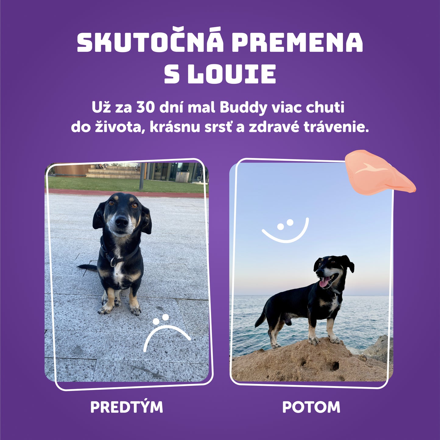 Výhodné balení 8 ks - Králík s kuřecím a se špenátem 400g